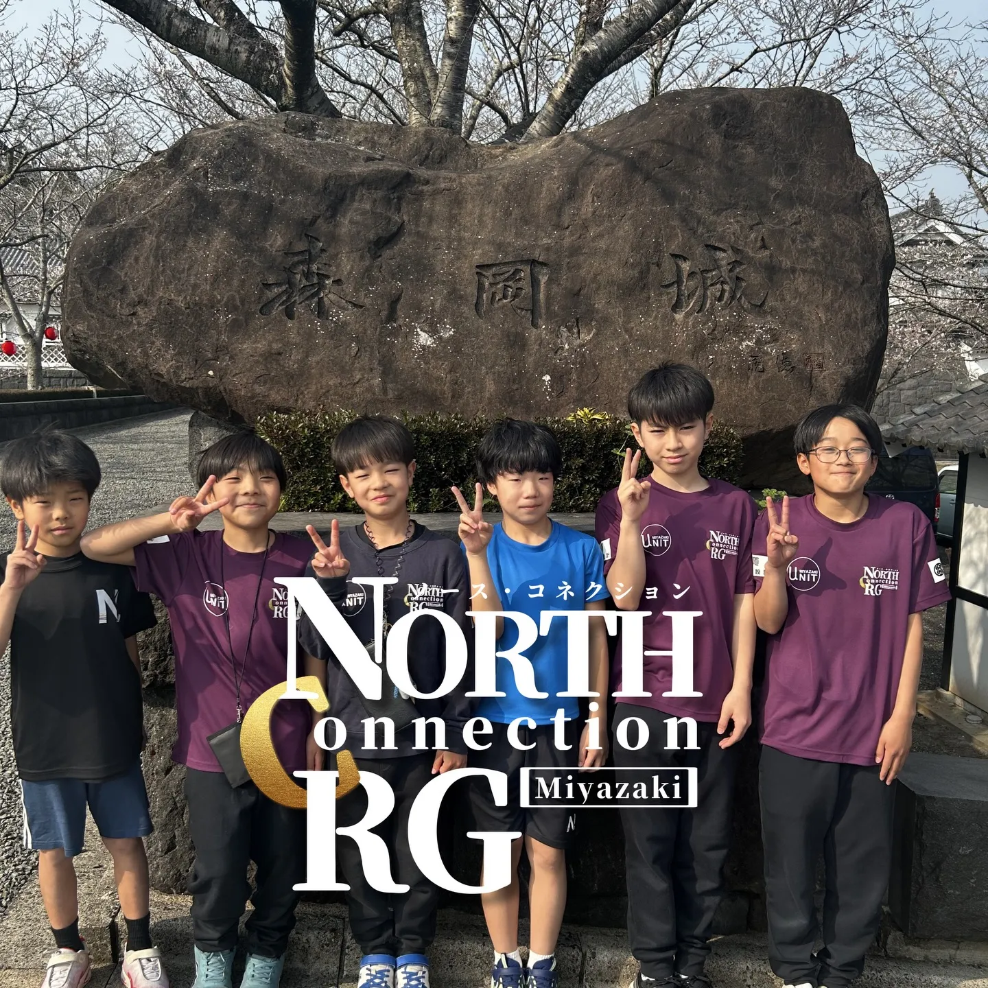 森岡城大さくら祭り🌸